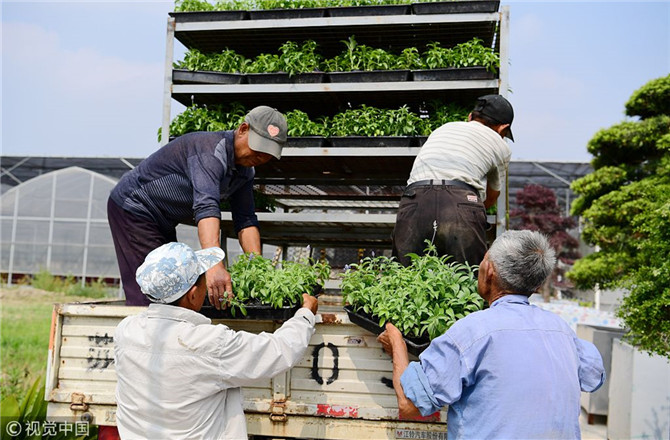 數(shù)字經(jīng)濟(jì)已經(jīng)成為我國經(jīng)濟(jì)社會(huì)更好發(fā)展的重要推動(dòng)力，也為我國鄉(xiāng)村發(fā)展提供了新的歷史機(jī)遇。（圖片來源：視覺中國）