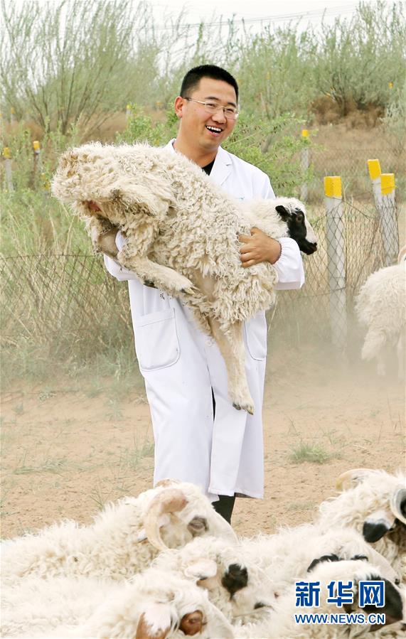 （壯麗70年·奮斗新時代——共和國發(fā)展成就巡禮·圖文互動）（3）生態(tài)美、百姓富——品讀嶄新“寧夏畫卷”