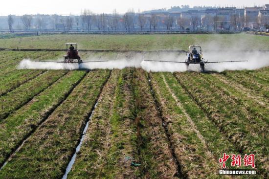 2月20日，南京湖熟街道現(xiàn)代農(nóng)業(yè)示范園區(qū)內(nèi)，工作人員駕駛自走式噴霧機給小麥噴灑除草劑。泱波 攝