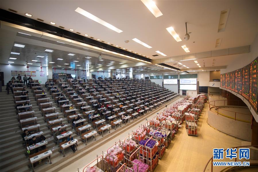 （新華全媒頭條·走向我們的小康生活·圖文互動）（9）綠染云嶺小康路——生態(tài)文明建設的云南實踐