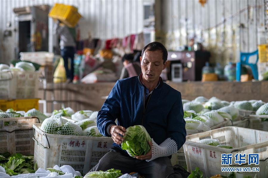 （新華全媒頭條·走向我們的小康生活·圖文互動）（12）綠染云嶺小康路——生態(tài)文明建設的云南實踐