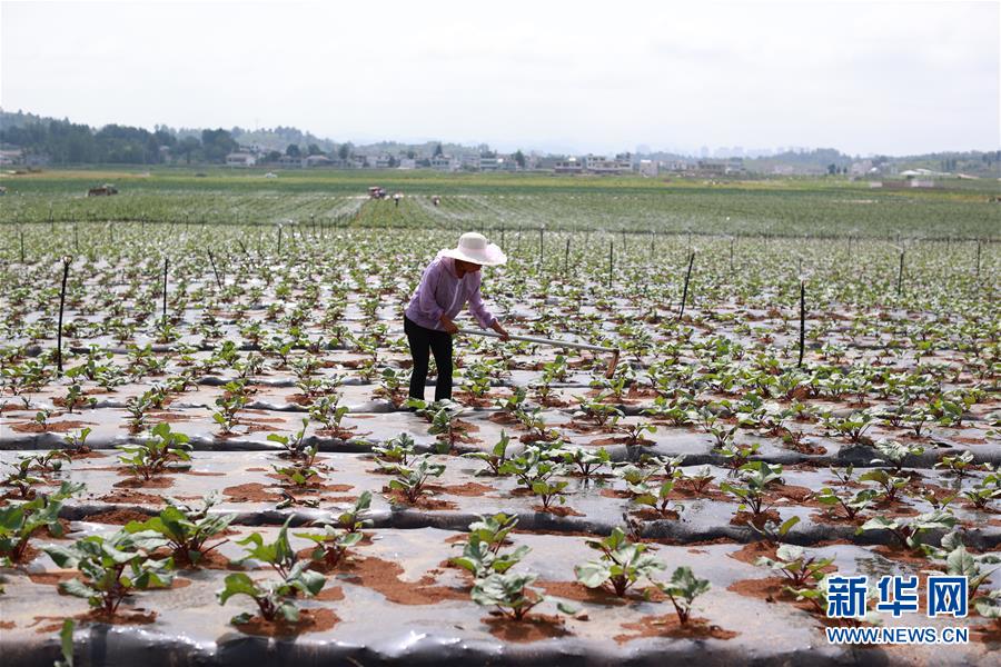 （新華全媒頭條·走向我們的小康生活·決戰(zhàn)決勝脫貧攻堅(jiān)·圖文互動）（3）千年之渴今朝解——貴州貧困群眾實(shí)現(xiàn)“吃水不愁”